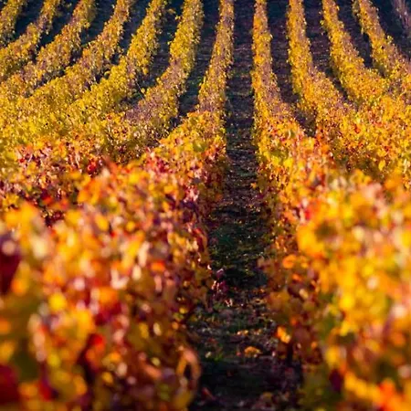 De La Cote Appartamento Beaune (Cote d'Or)