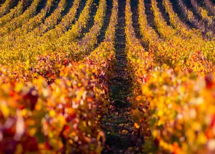 De La Cote Апартаменти Бон